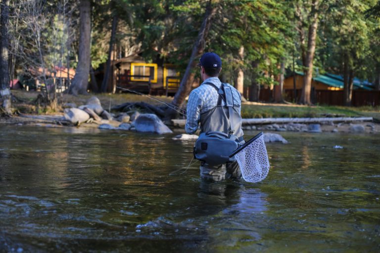 best fly rod
