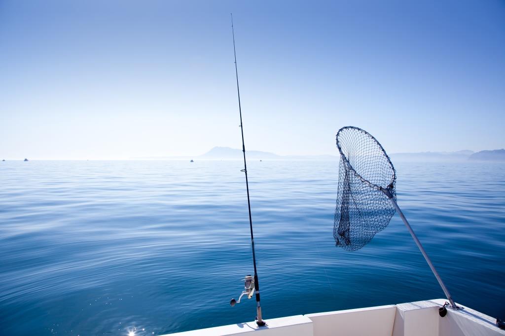 Berkley Urbn Folding Landing Net Head Medium 30x30cm Fishing tackle 
